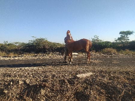 થંબનેલ 3