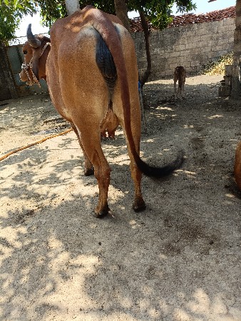 थंबनेल 3