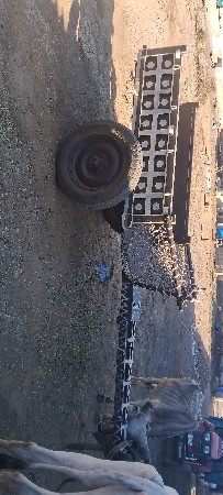 talala bel gadi gaadu