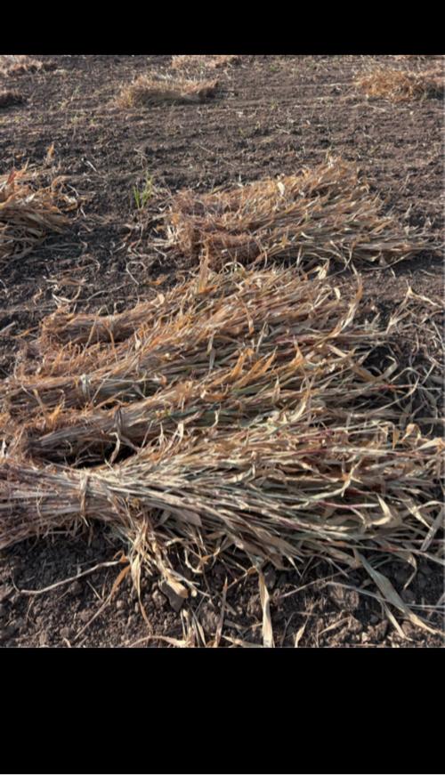 જાર નું બાટુ વેચવાનું છે