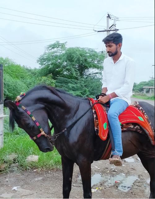 थंबनेल 2