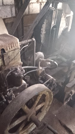 થંબનેલ 3