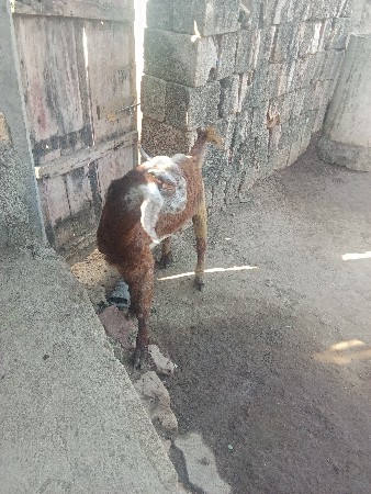 थंबनेल 3