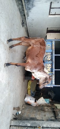 थंबनेल 3