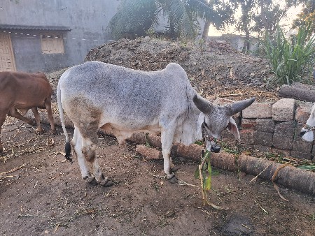 थंबनेल 3