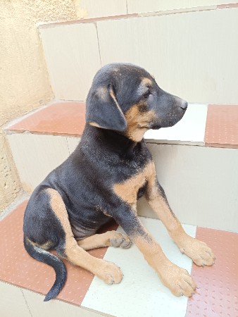 થંબનેલ 2