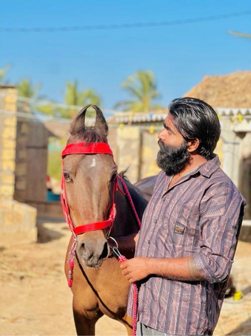 થંબનેલ 2