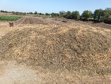 G 22 નો ભૂકો વેચવા નો છે