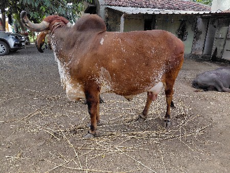 થંબનેલ 2