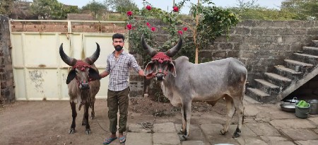 थंबनेल 3