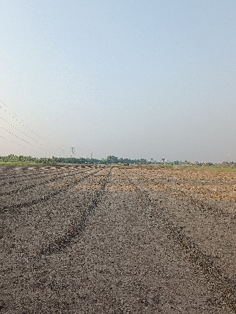 જમીન લેવાની છે