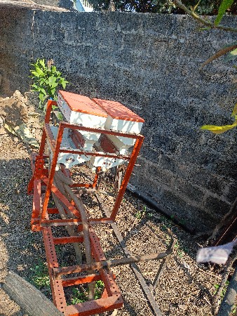 થંબનેલ 2