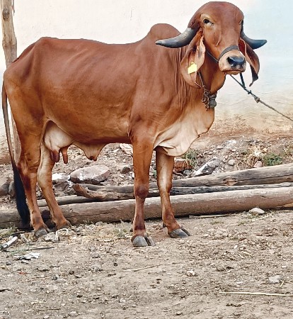 थंबनेल 2