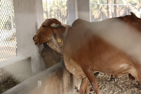 થંબનેલ 2