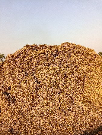 ભૂકો વેચવા નો છે.