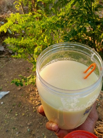 થંબનેલ 2