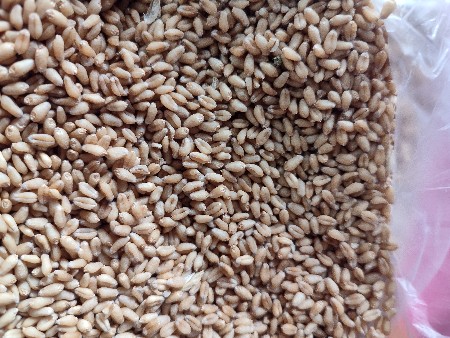 થંબનેલ 3