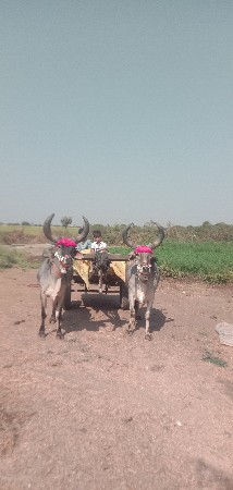 थंबनेल 2