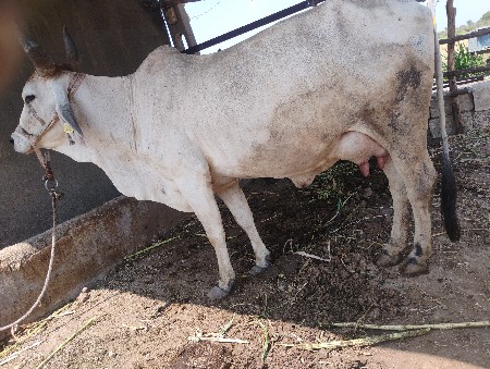 थंबनेल 2