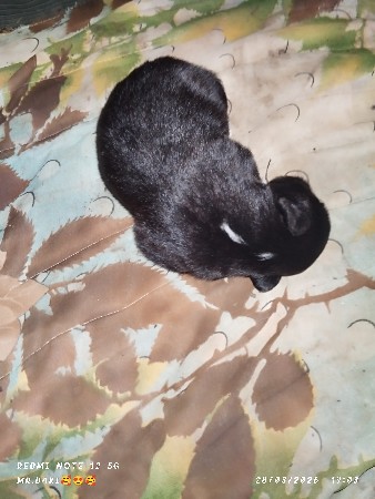 થંબનેલ 3