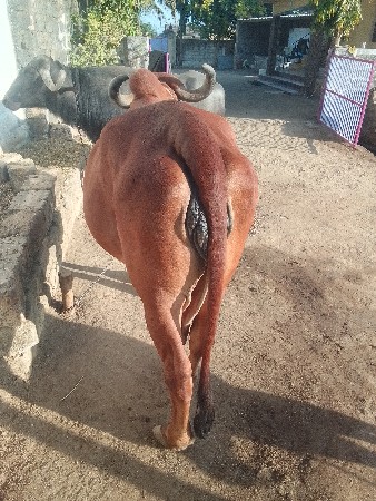 थंबनेल 3