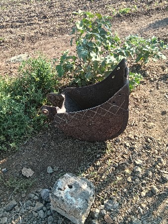 थंबनेल 2