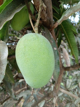 थंबनेल 3