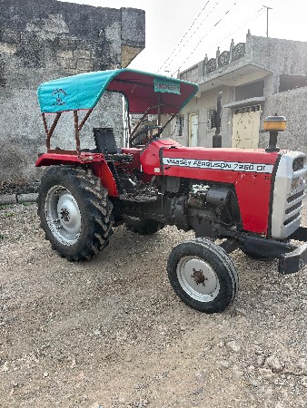 થંબનેલ 2