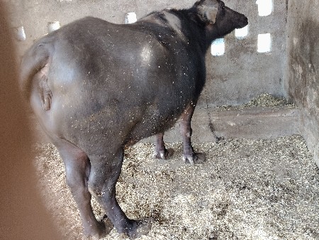 थंबनेल 2