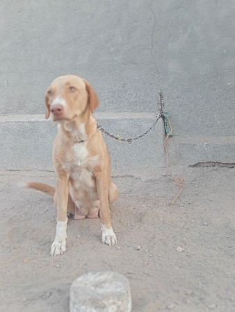 થંબનેલ 3