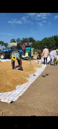 fukani ફુકની