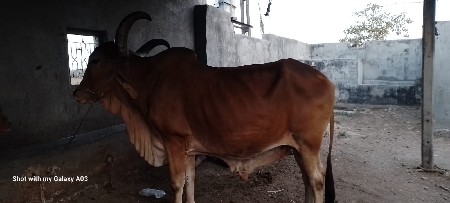 थंबनेल 3