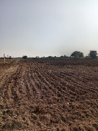 jameen foll karal 7.5 vigh