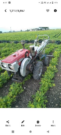 શીંગડા વારુ ટેકટર