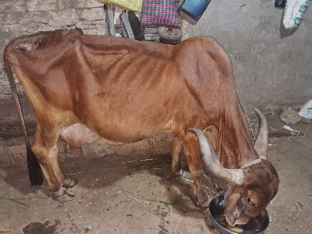 थंबनेल 2