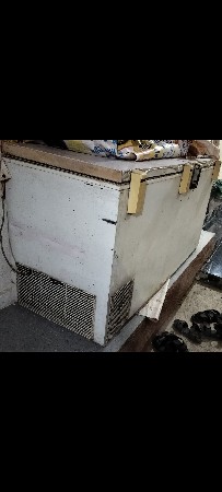 ડીપ ફ્રિઝ વેચવાનુ છે