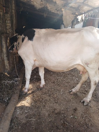 थंबनेल 2