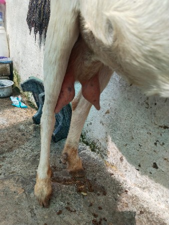 થંબનેલ 3