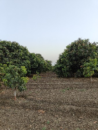 थंबनेल 3