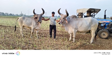 થંબનેલ 3