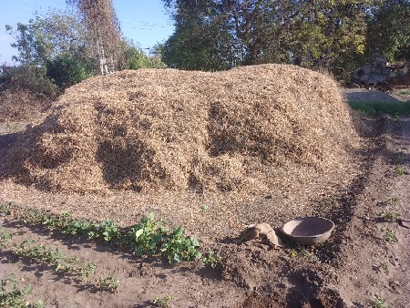 ચોમાસુ મગફળી નો કોરો ભુકો