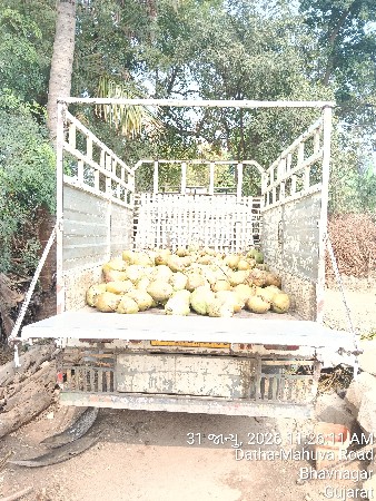 થંબનેલ 2