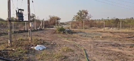 થંબનેલ 3