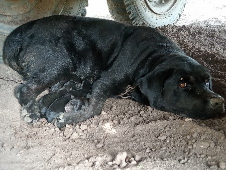 થંબનેલ 3