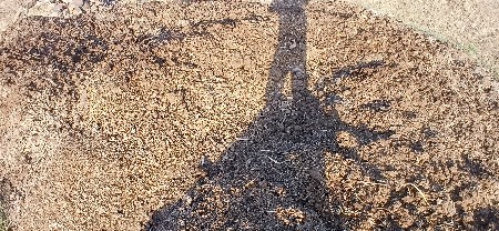 છાણીયુ ખાતર