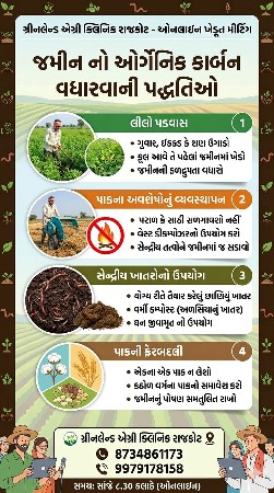 શણ ઇક્કડ બિયારણ મળી જસે