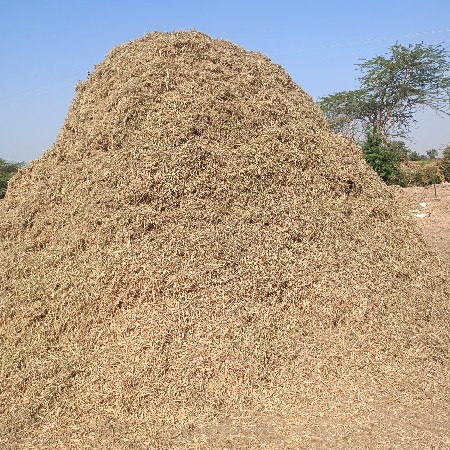 જી-૨૦ માડવી નો ભુક્કો