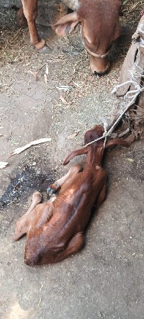 થંબનેલ 3