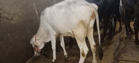 थंबनेल 3