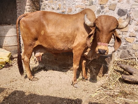 थंबनेल 2